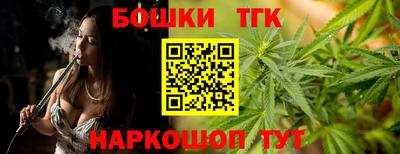 apvp Гусев