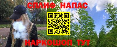 Альфа ПВП Гусиноозёрск