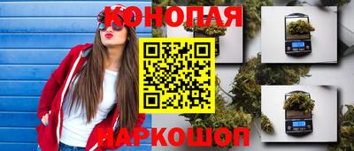 Альфа ПВП Гусиноозёрск