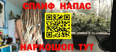 apvp Гусев